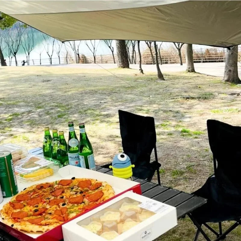 Folding Picnic Table and Chairs